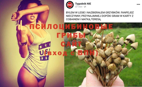 дживик Нязепетровск