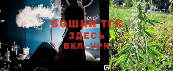 гашик Грязовец
