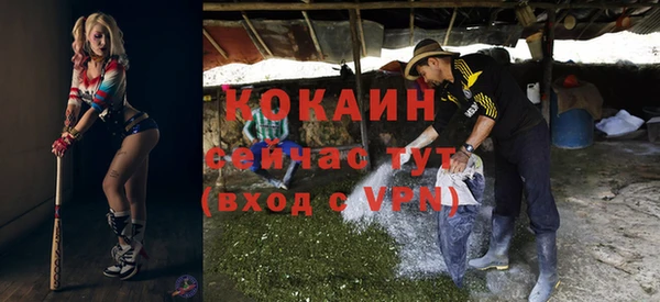 дживик Нязепетровск